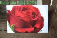 Karte Rote Rose 2,95 &euro;